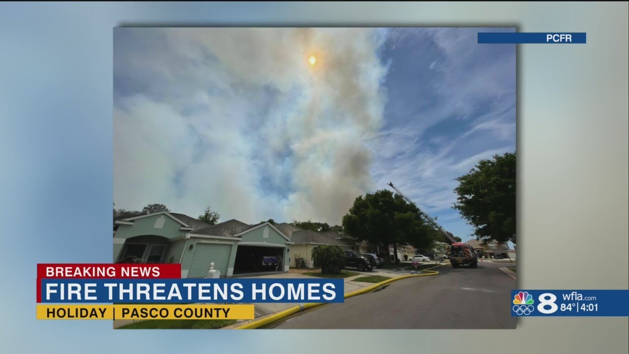Pasco County fire crews battling large brush fire in Holiday - YouTube
