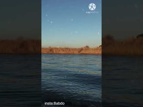 انت اختصرت الناس شكل ومنطوق اصيل هميم