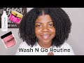 DETAILED Wash N Go Routine | Type 4 Naturals