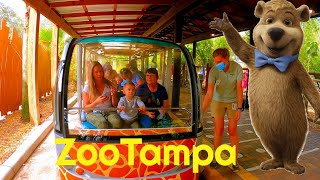 Tampa Zoo at Lowry Park Tour (ZooTampa)