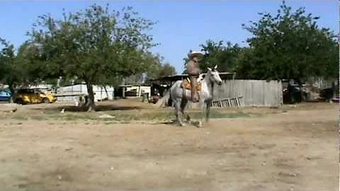 Rogelio Pena Diaz y caballo bailador, the man with...