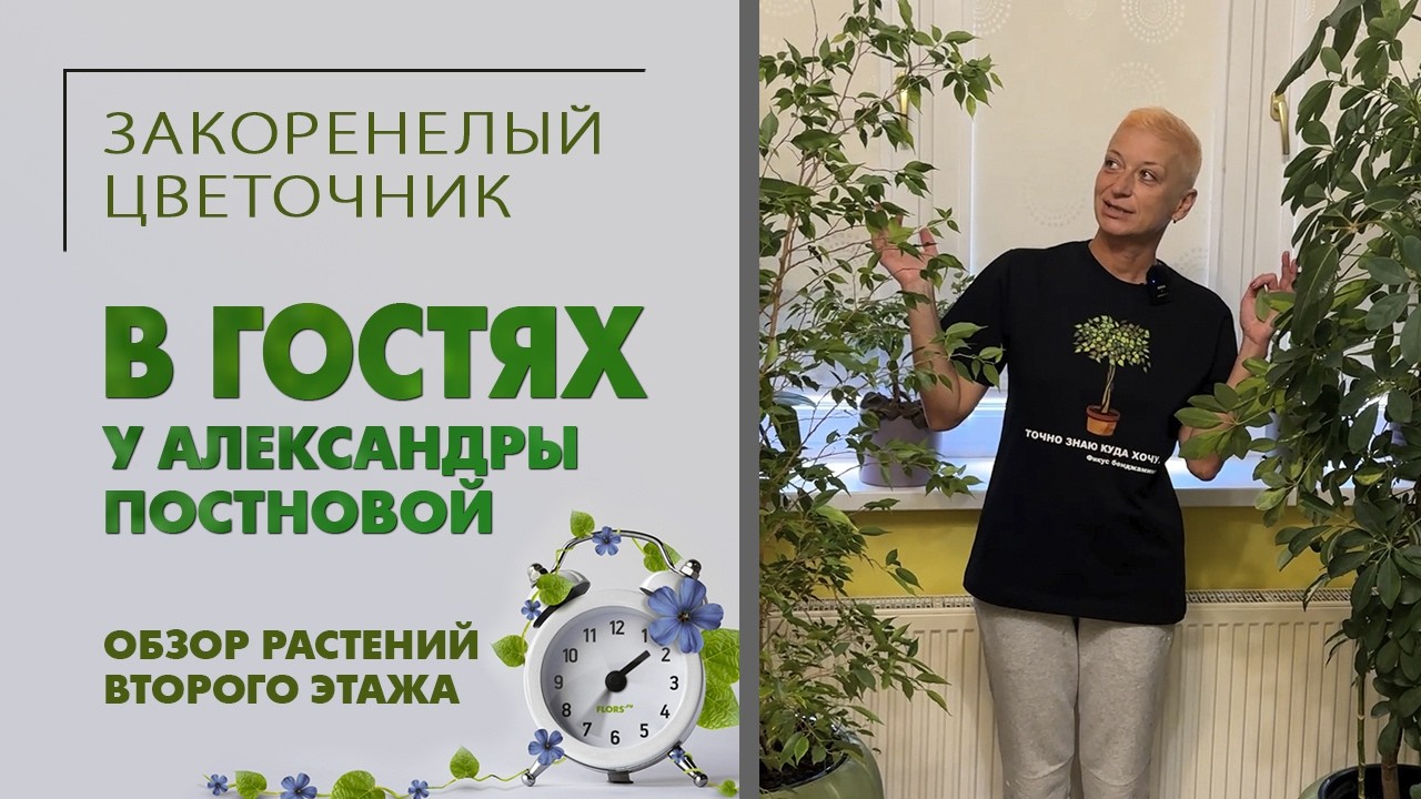Выжил ли папоротник? В гостях у Александры Постновой. Обзор растений второго этажа.  Новые растения.