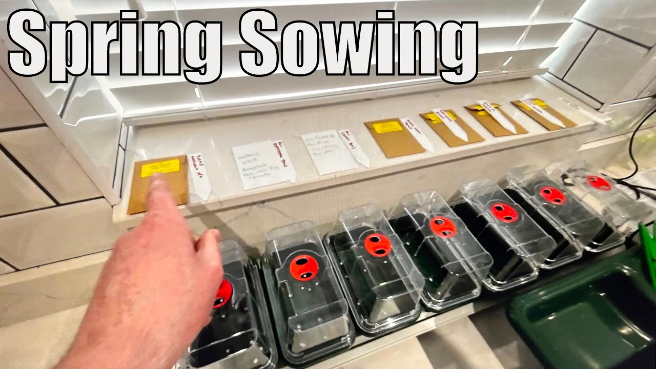 Spring Sowing | So it begins | Allotment Life - YouTube
