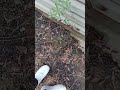 the power of water erosion