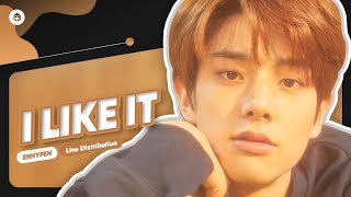 ENHYPEN - I Like It (original by: BTS) | Line Distribution