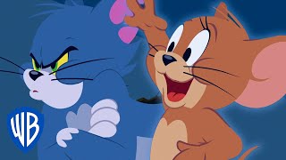 Мульт Tom Jerry Fireworks Frenzy WB Kids