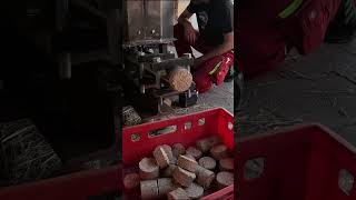 Eigenbau Brikettpresse