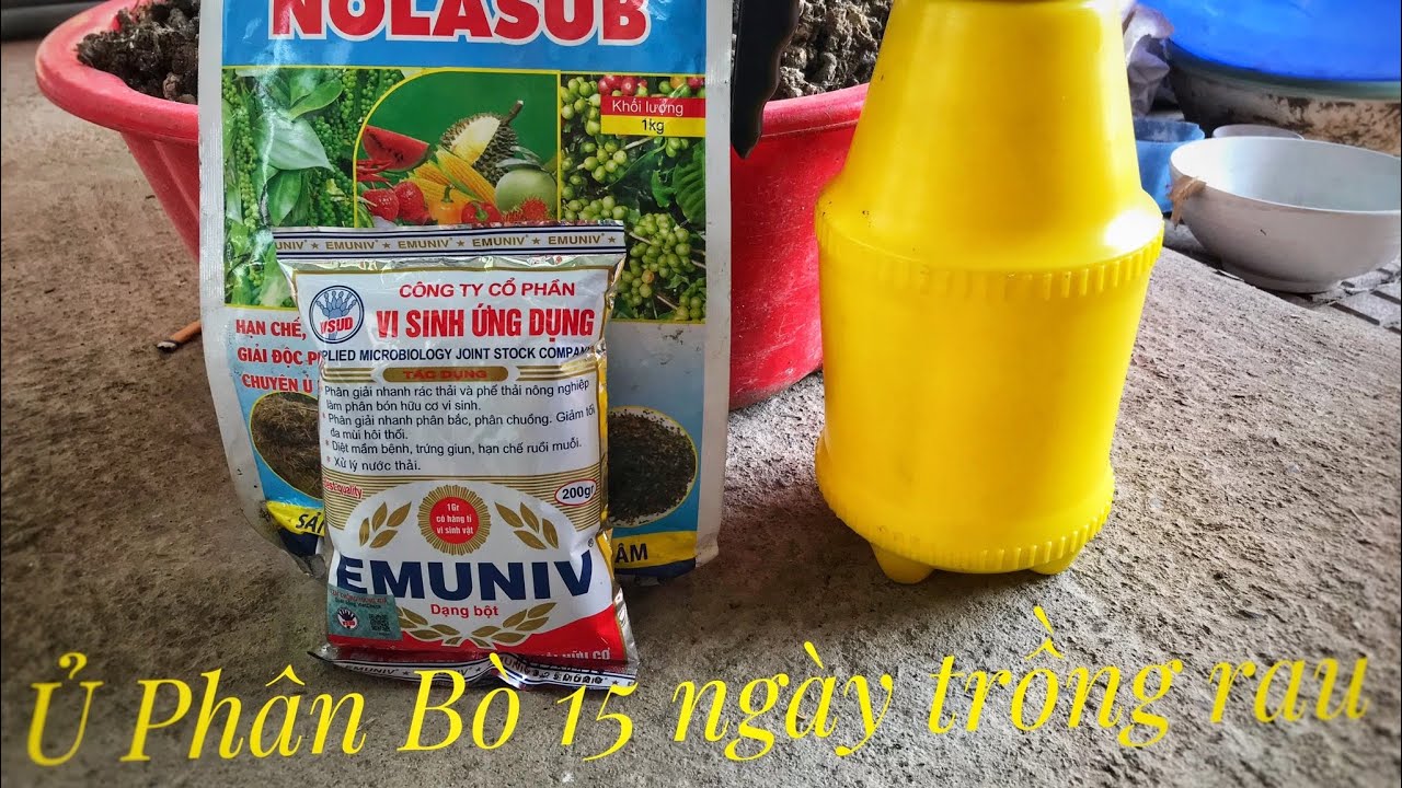 #13 | Cách Ủ Phân Bò Nhanh Hoai Mục Nhất | how to compost vegetable cow dung