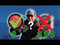 Are EXPENSIVE Fluorocarbon Fishing Lines REALLY Worth The Extra MONEY?