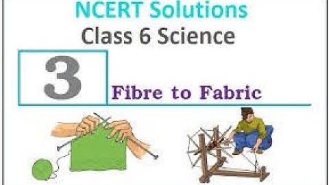 Class VI Science 07 10 2020 by Ms Mridulata Upadhyay (Chapter 3 Fibre to Fabric)