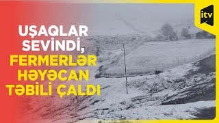 Quba Və Qusara Qar Yağdı, Meyvəçilik Sahəsinə Ciddi Ziyan Dəydi