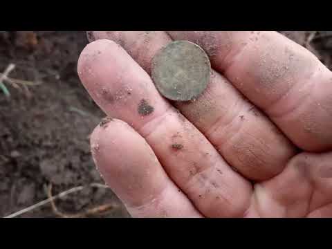 5 дней копа монет, осень 2022