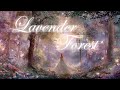 𝐏𝐥𝐚𝐲𝐥𝐢𝐬𝐭 Enchanted Lavender Forest Princess Dreams Melodies 