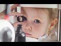 Babies' visual attention