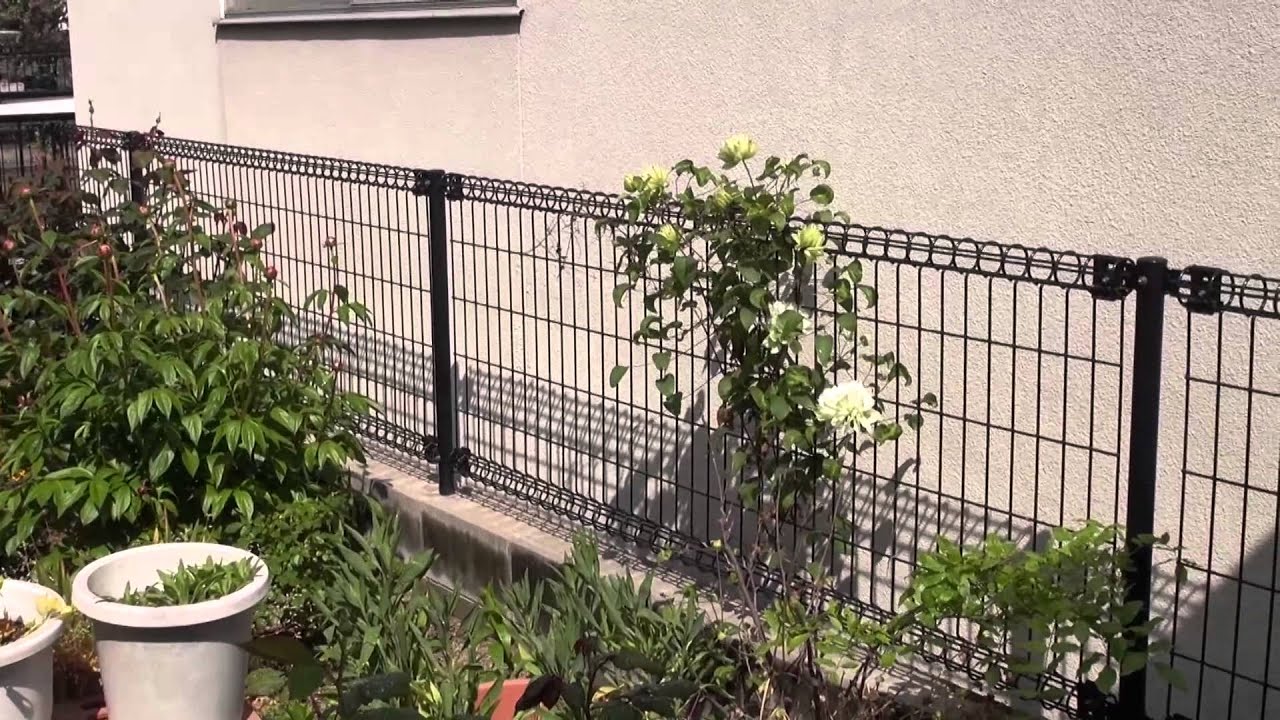 4月25日我が家の光景 - YouTube