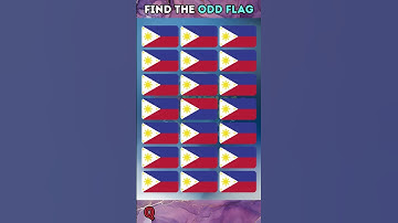 Spot the Different Flag l Odd One Out ⚡️🌟#20 #flags #oddoneout #puzzle #shorts #ytshort #quizventur