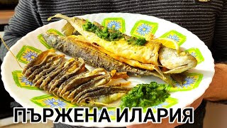 видео: Пържена морска риба(Илария и цаца) със сос от пресен магданоз, чесън и зехтин. Невероятна комбинация картинка: Пържена морска риба(Илария и цаца) със сос от пресен магданоз, чесън и зехтин. Невероятна комбинация