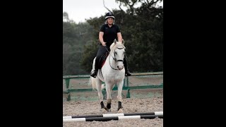 Paddy - Amazing Happy Hacker