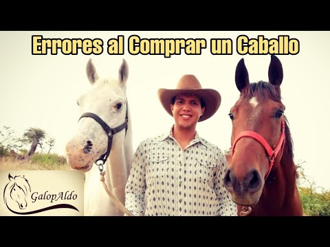 Video: Cómo Elegir Un Caballo