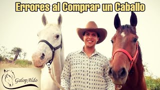 Errores Típicos y Consejos para Comprar un Caballo | GalopAldo