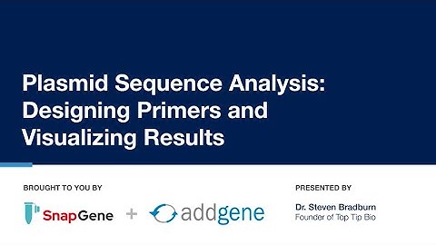 Plasmid Sequence Analysis: Designing Plasmids and Visualizing Results