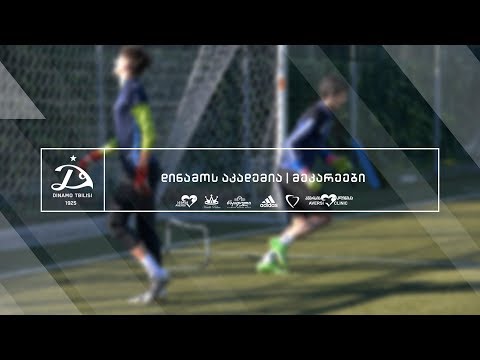 დინამოს აკადემია | მეკარეები