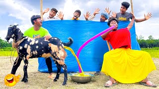 Must Watch New Entertainment Top Funny Video 2023 😂 Superhit Comedy 2023 Episode 95 By  @HaHaidea ​