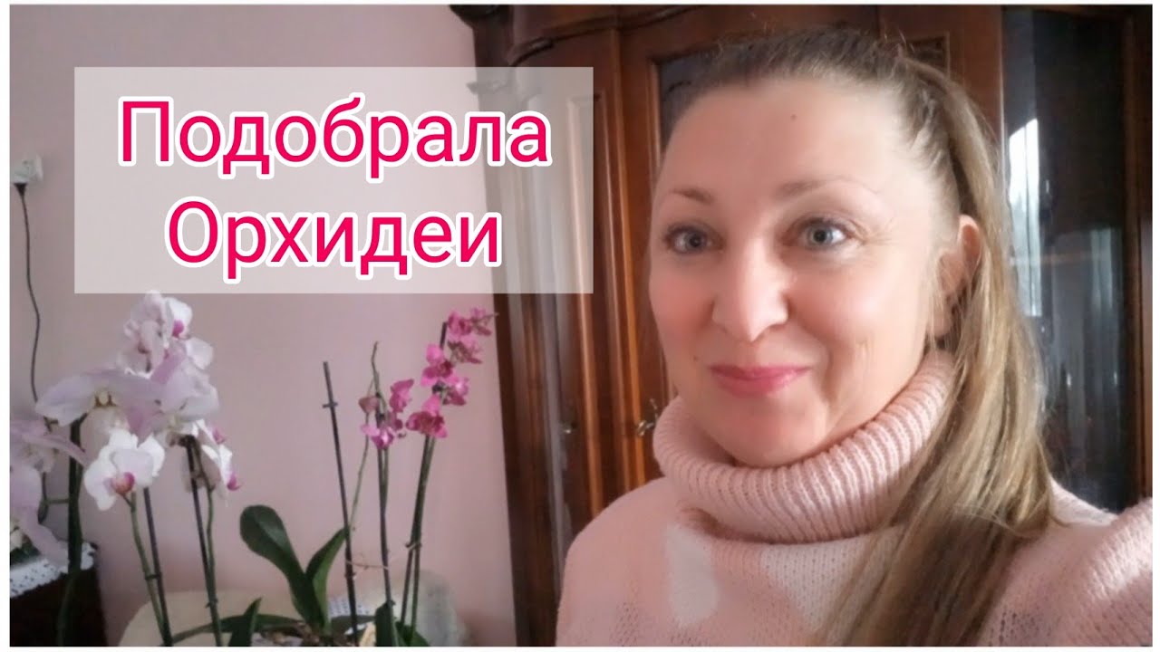 Подобрала 2 Орхидеи ✂️реанимирую