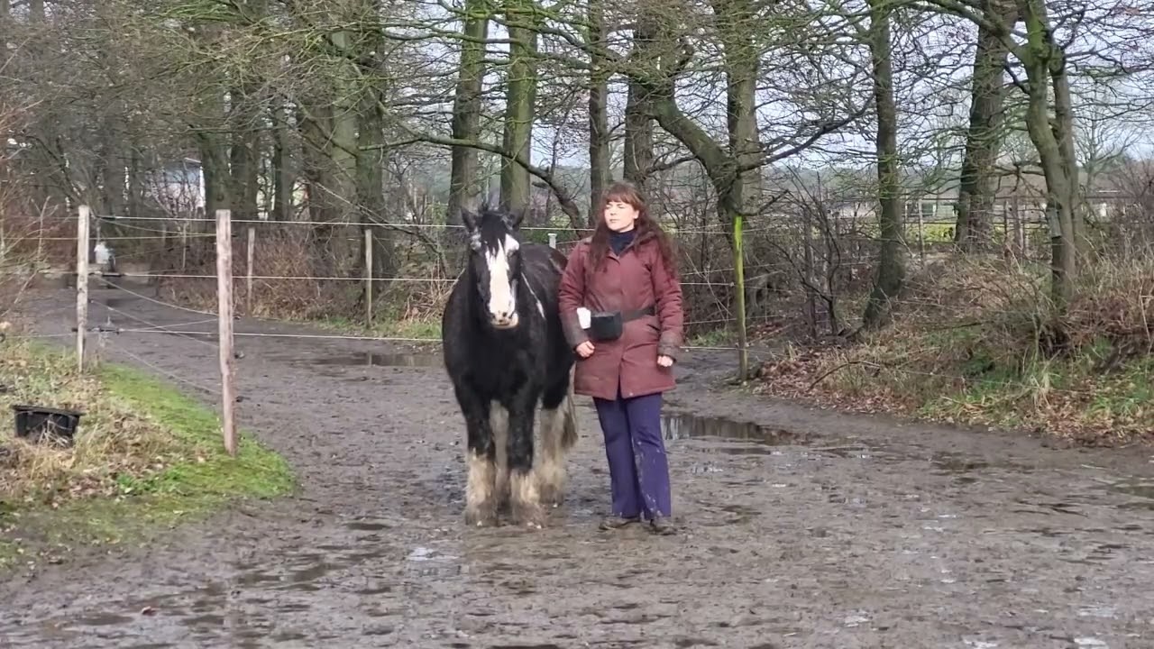 Stand still 2 | Turning sideways #4