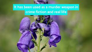Aconite As A Poison