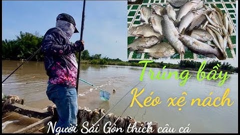 Cá tráp, cá chẻm, bóng đục.. câu đúng con nước đầm bình đại bến tre.. giật điện cuồng..