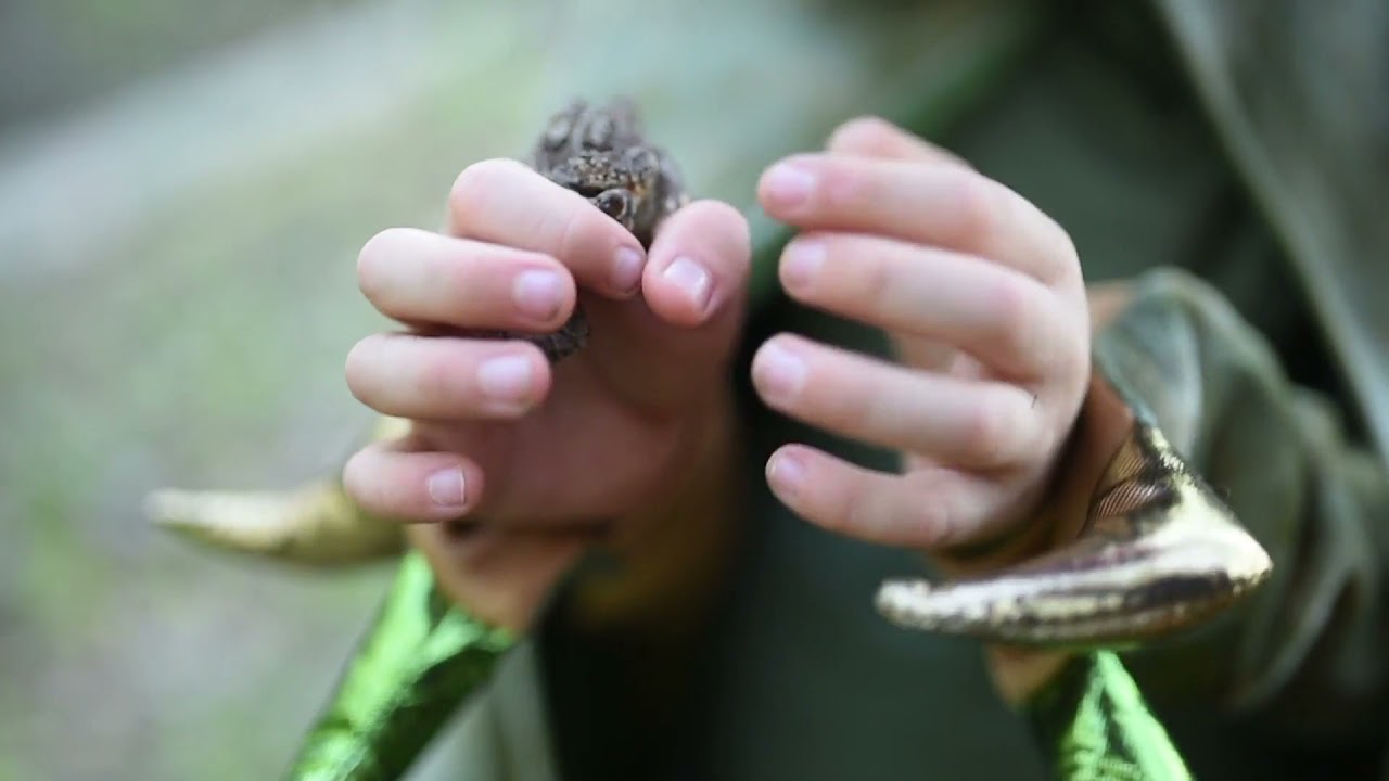 Curolletes - Disfraz Capa Grandasaurus T-Rex con garras Verde