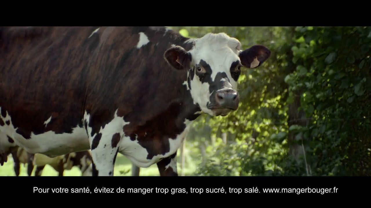 Elle & Vire - Mais où sont les vaches ?