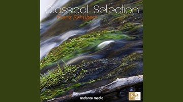 String Quartet No. 1 in C Minor, D. 18: IV. Presto