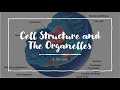 Cell Structure and The Organelles