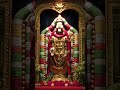 Tirupati, tirumala  #shorts#youtube shorts#devotional songs #tamil#trending
