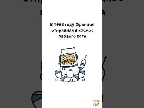 А вы знали? Факты о котиках. #мультфильм #подарок #поздравление #открытка #восторг #соцсети