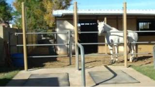 10045 N 36TH ST, Phoenix, AZ 85028