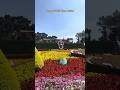 Wayanad Pooppoli 2026 Part 2 (4K ULTRAHD HDR10+ 60FPS)