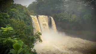 Rainbow Falls - Hilo Hawaii - February 18, 2023