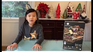 Rock and Gem Dig - by Smithsonian (for kids)