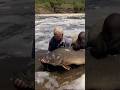 Expectation vs reality