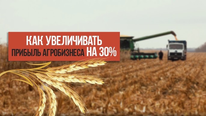 Как систематизация агробизнеса увеличивает прибыль на 30% опыт компании Farmland