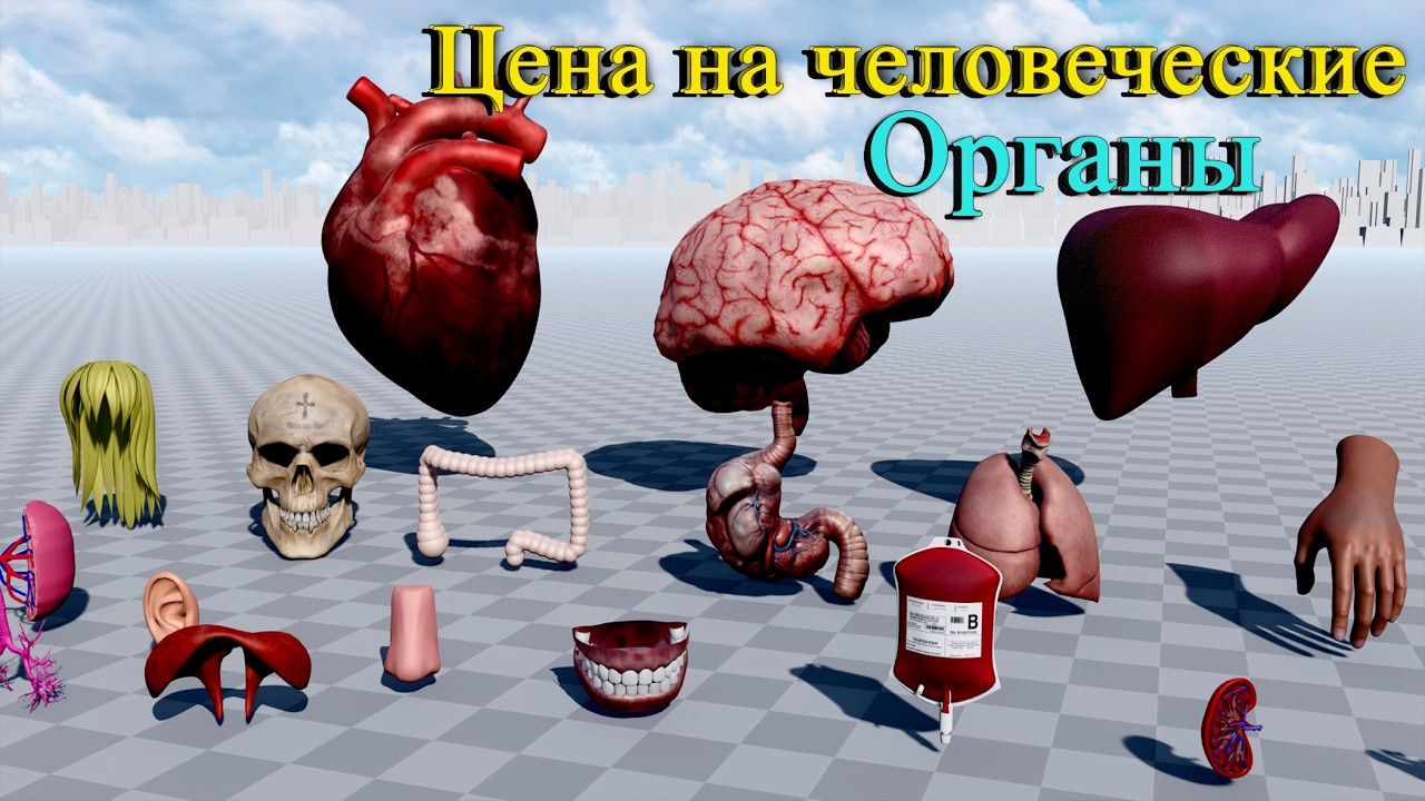 Цена человеческих органов