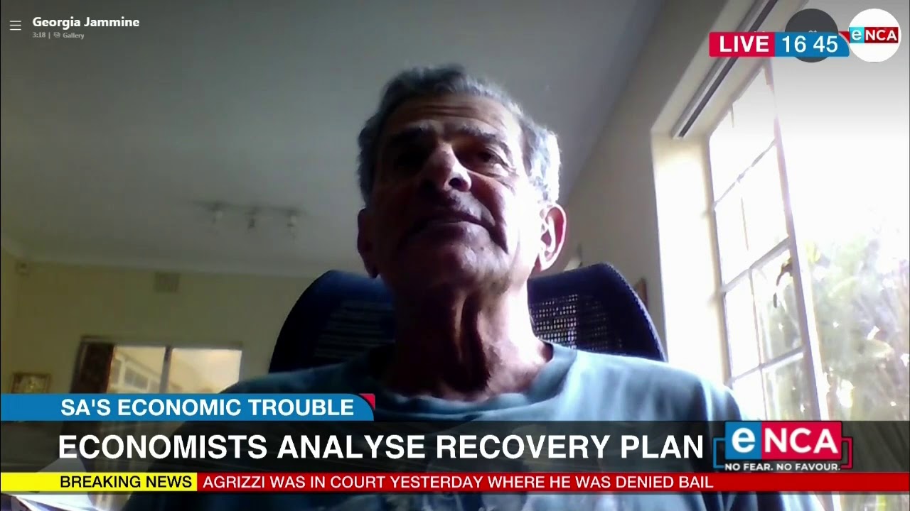 Discussion | Economist analyses economic recovery plan