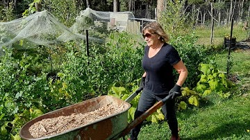 Removing New Zealand Flax