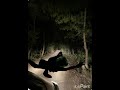 Toadman