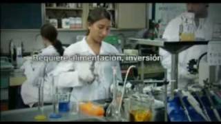 IPCVA Carne Argentina