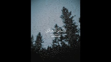 (إن الله يغفر الذنوب جميعا إنه هو الغفور رحيم…) ، سورة الزمر الآيه 58 ، بصوت الشيخ  ماهر المعيقلي
