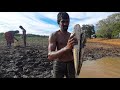 Unique Village Fishing 🇱🇰 | Amazing Catching a Lot Off Fish In Muddy Lake | Lula Fish In Muddy
